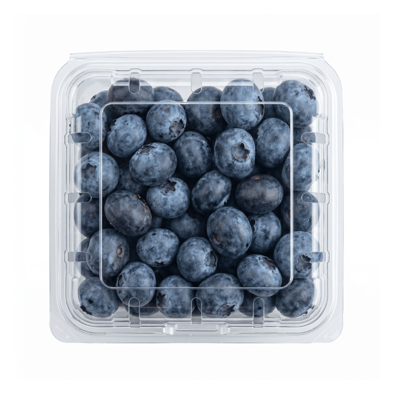 Blueberry Úc 125g chính hãng